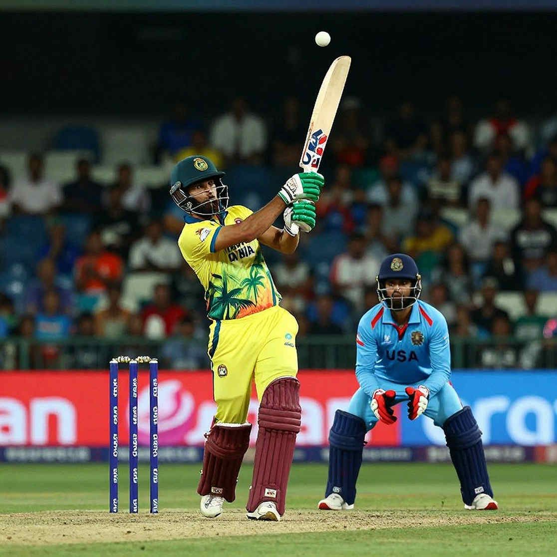 Empty Input, Broken Chain: Blocks of Truth in Cricket's Information Flow Empty Input, Broken Chain: Blocks of Truth in Cricket's Information Flow